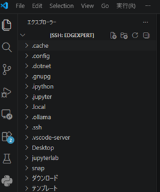 VS Code Remote-SSH で EdgeXpert に接続し、ホームディレクトリのファイルツリーを表示した画面